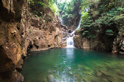 Chanthaburi: Opowieść o magicznej rybie i żądzy władzy!