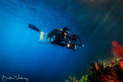  The Fisher King and His Mysterious Underwater Realm! Unveiling the Timeless Wisdom of Ancient Malaysian Folklore