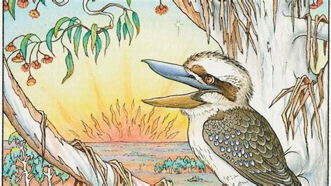  The Kookaburra King - A Story About Greed, Forgiveness, and the Joy of Laughter